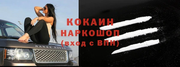 прущие грибы Вяземский