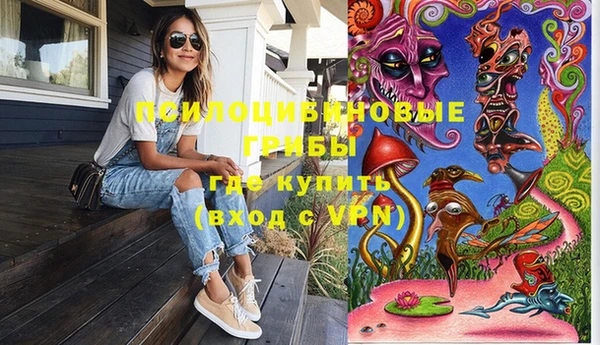 ГАЛЛЮЦИНОГЕННЫЕ ГРИБЫ Магадан