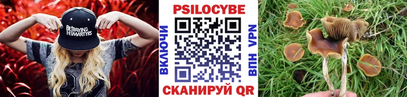 даркнет состав  купить наркотик  Дзержинский  Псилоцибиновые грибы GOLDEN TEACHER 