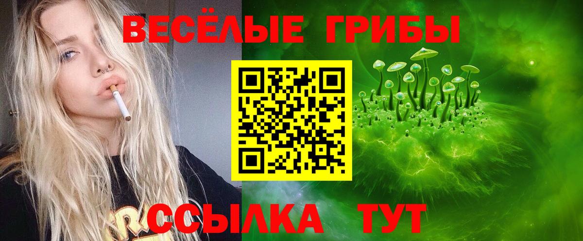 Псилоцибиновые грибы Psilocybe Дзержинский