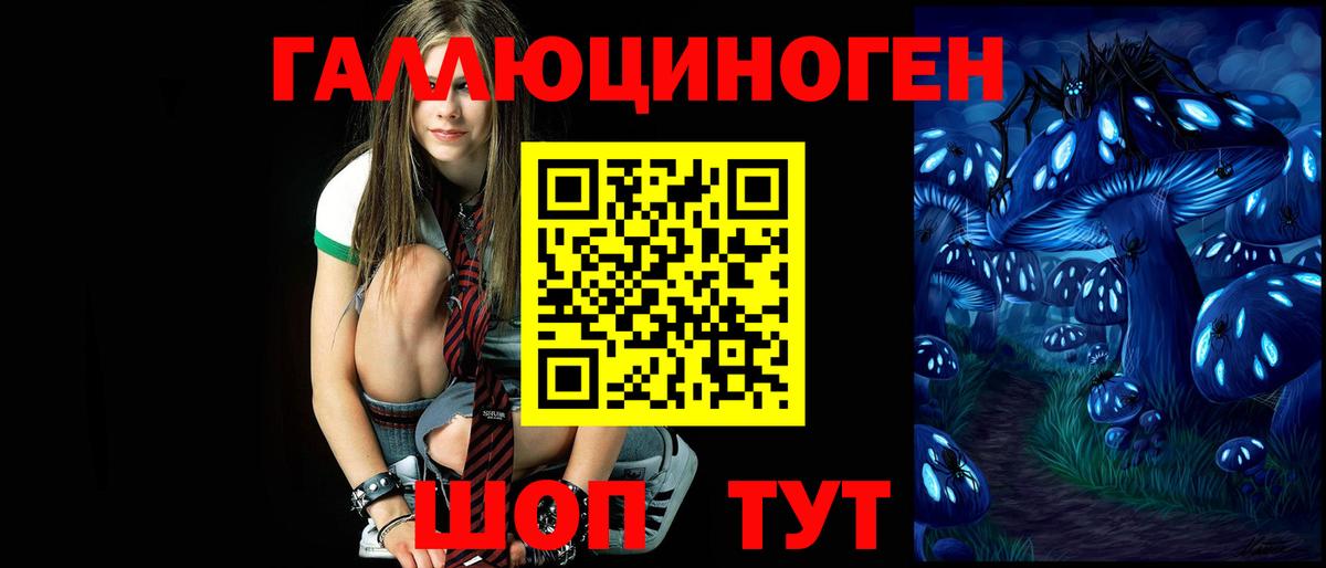 Галлюциногенные грибы Psilocybe Дзержинский